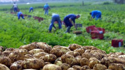 ouvrier(e) agricole